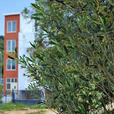 Pashaj Ksamil